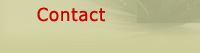 Contact Nancy